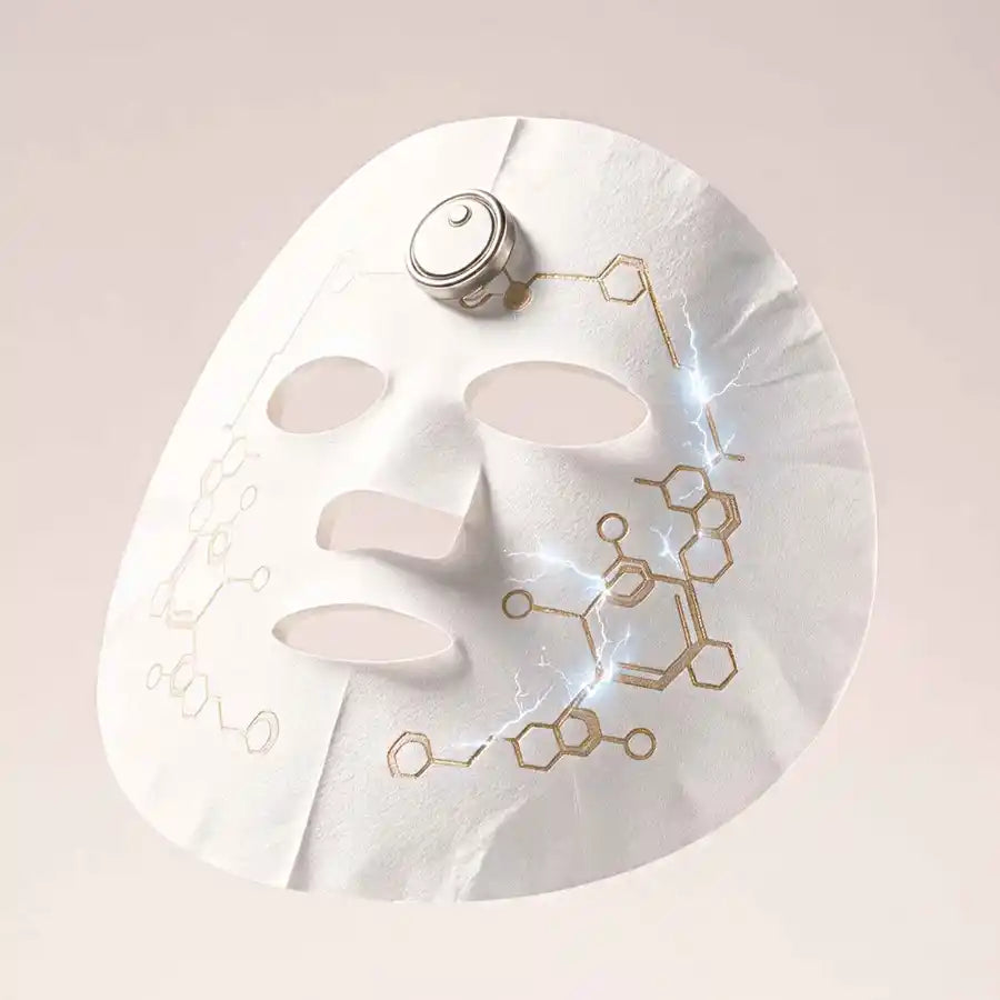 EMS Lifting Device + 5 Masks